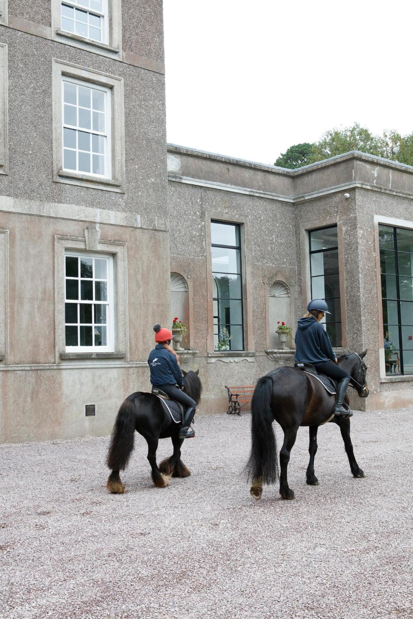Вилла Dripsey Castle Estate Корк Экстерьер фото