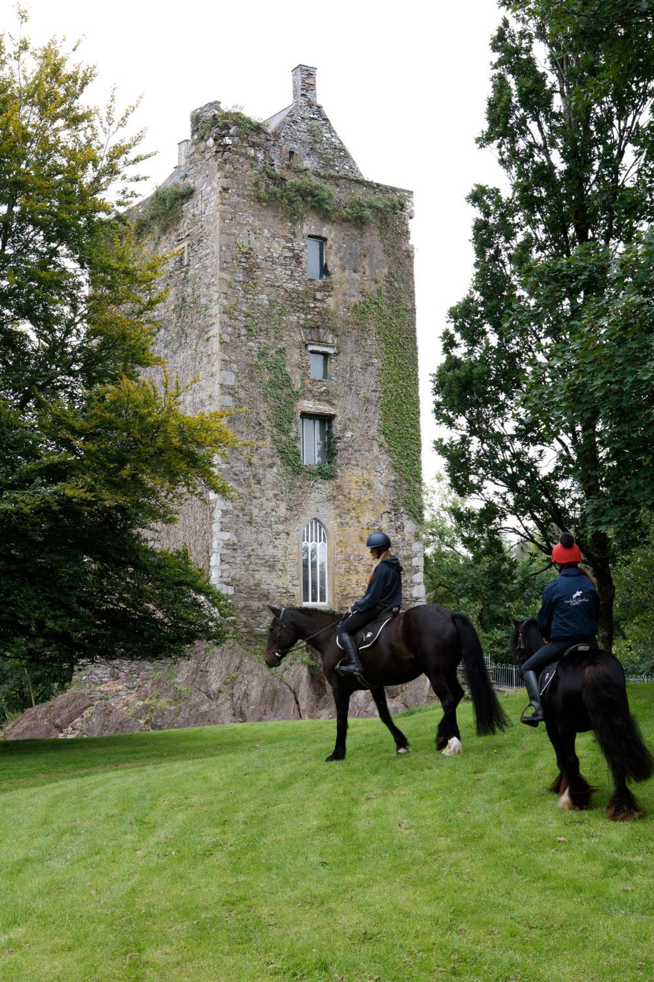 Вилла Dripsey Castle Estate Корк Экстерьер фото